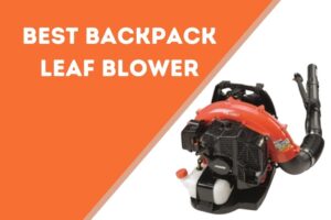 Best Backpack Leaf Blower