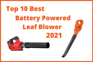 Best Battery Powered Leaf Blower