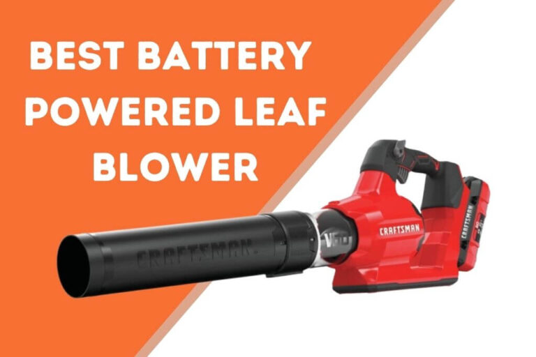 Best Battery Powered Leaf Blower